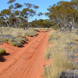 The Anne Beadell Highway east of Serpentine Lakes