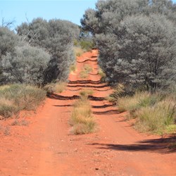 Anne Beadell Highway