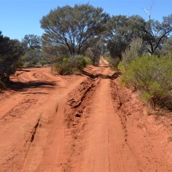 Anne Beadell Highway