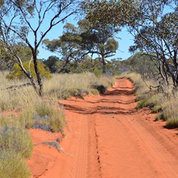 Anne Beadell Highway