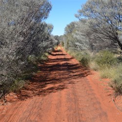 Anne Beadell Highway