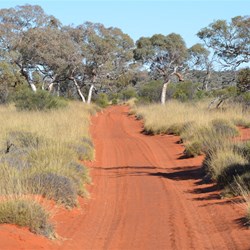 Anne Beadell Highway