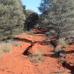 Anne Beadell Highway