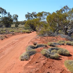 Anne Beadell Highway