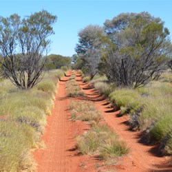 Anne Beadell Highway