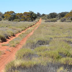 Anne Beadell Highway