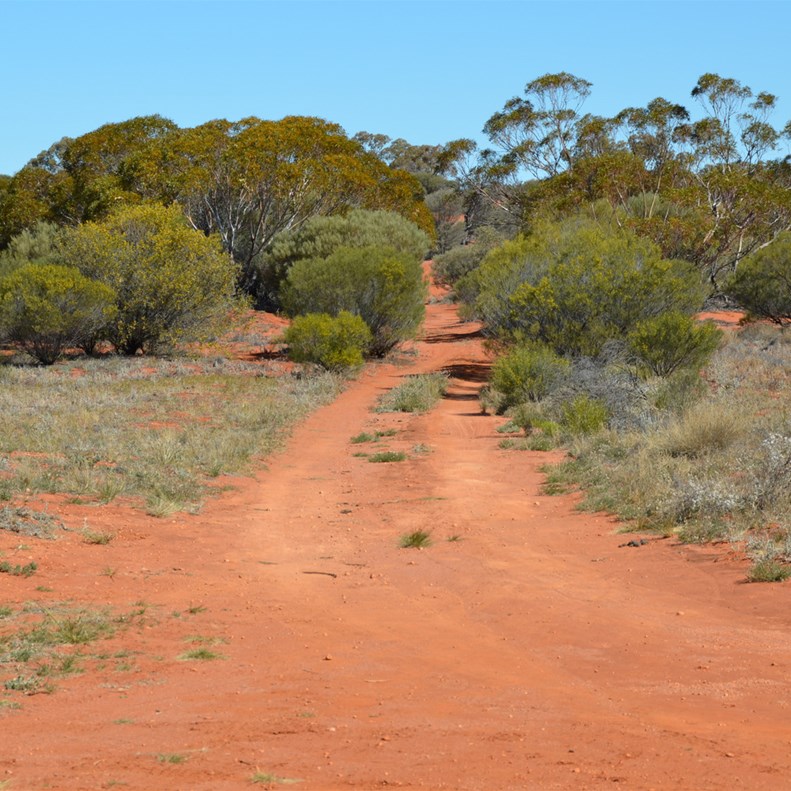 Looking South from Voakes Hill Corner and our next direction of travel