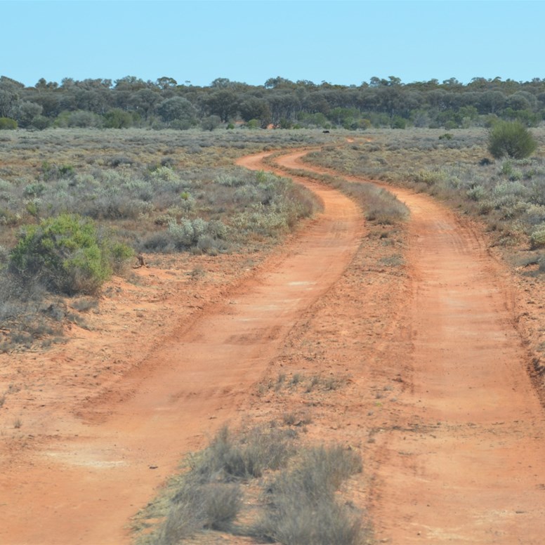 The Main Track into Neale Breakaway