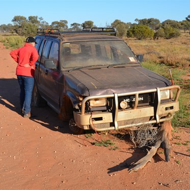 No Fiona, I don't want another four wheel drive