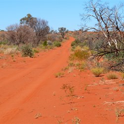Extensives areas of the Great Victoria Desert had been burnt out