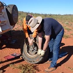 Many hands make light work