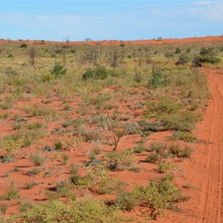 Back on track and heading into the crash site...note how the country has been burnt bare