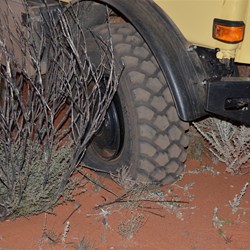 Not the type of thing you want first thing in the morning