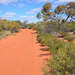 The Anne Beadell Highway