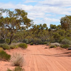 The Anne Beadell Highway