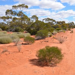 The Anne Beadell Highway