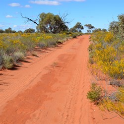 The Anne Beadell Highway