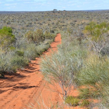 The Anne Beadell Highway