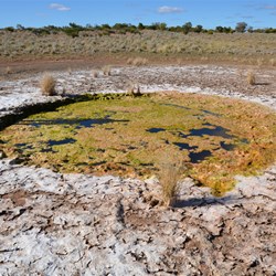Russell inspects Tjintikara Rockhole