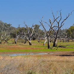 The remaining water in the storage'tank' on Toorale N Pk