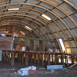 Inside the shearing shed