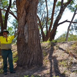 Ross telling us about the land and Toorale