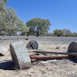 wooden wheels are pretty amazing on this jinker at old Dunlop farm