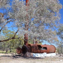 steam bioler which pumped water from the river for irrigation of crops and domestic use on old Dunlop farm