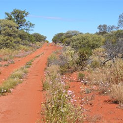 Still great driving south to Maralinga