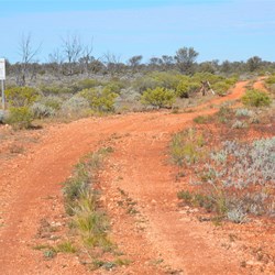 We had now completed one very big lap of the Great Victoria Desert and back at Nawa Junction