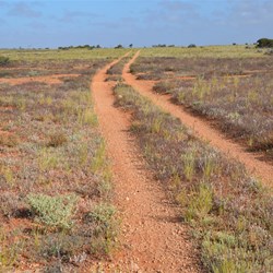 Fiona and I came back via the Caravan Track