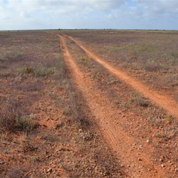 The Caravan Track