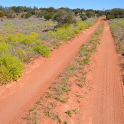 Travelling East along the Anne Beadell Highway