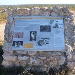 Information sign at Murrawijinie Caves