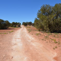 Travelling East along the Anne Beadell Highway
