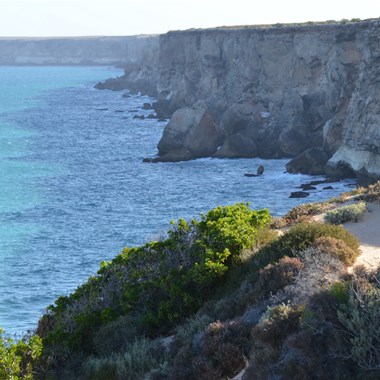 At the Head of the Bight