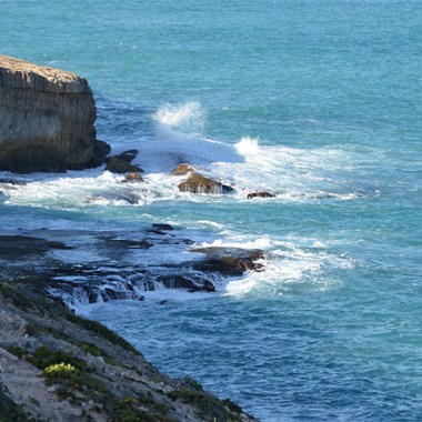 At the Head of the Bight