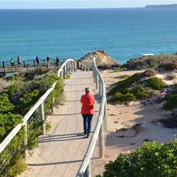 Well constructed board walk at the Head of the Bight Whale Watching Centre
