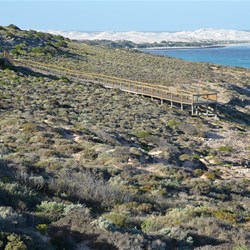 We ended up Camping around 5 Kilometres from those white dunes in the distance