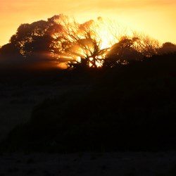 Sunrise the next morning