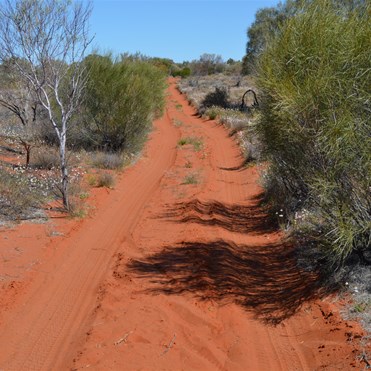 Travelling East along the Anne Beadell Highway