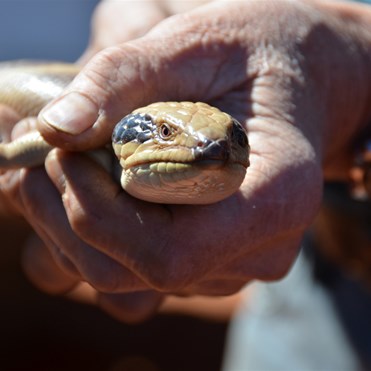 This was right in our wheel tracks