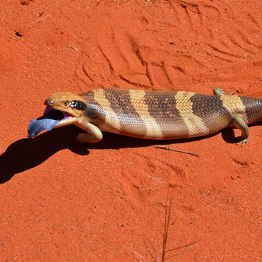 Safely out of harms way, he was not a happy chappy