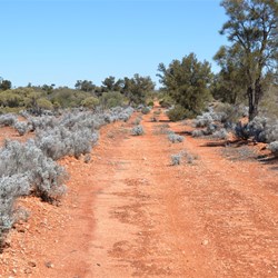 The lower sections of the Camalco Track were as good as any other tracks in the area