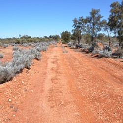 On the Camalco Track