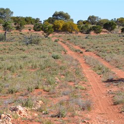 On the Camalco Track