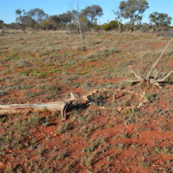 One of Len's Astro Fix Points near the 300 Mile Maker