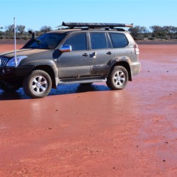 The surface of Dingo Claypan looked wet, but it was like concrete 
