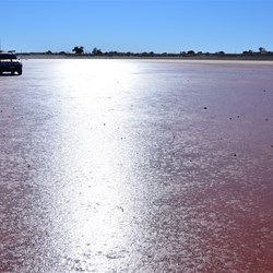 The suns make Dingo Claypan glisten just like it was water