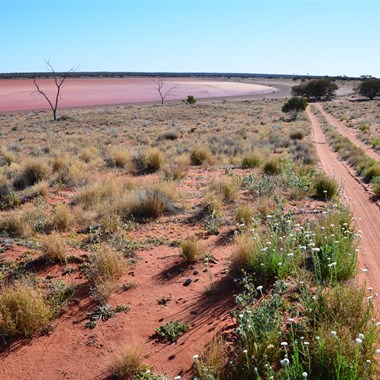 Time to leave Dingo Claypan and head down to Camera Site C on the Anne Beadell Highway